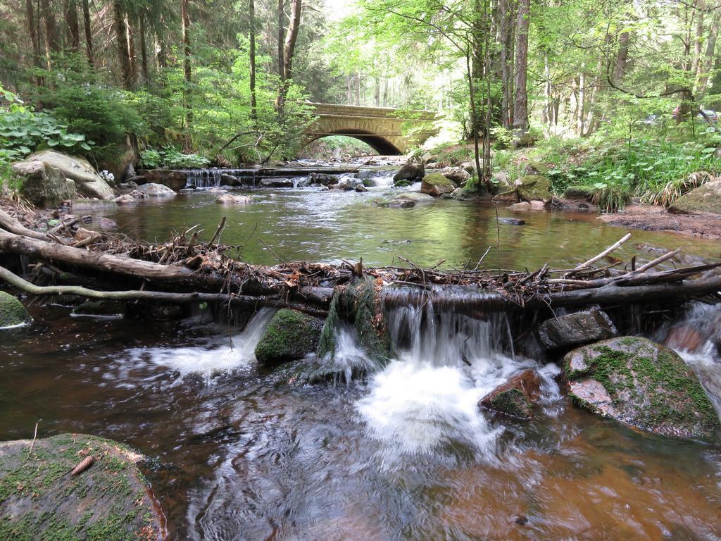 Fewo Kruse Am Wurmberg Braunlage Extérieur photo